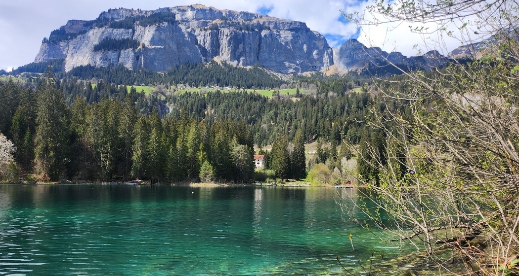 flimsfestival: Eröffnungskonzert Oboenquartett (gdl_922280984_image)