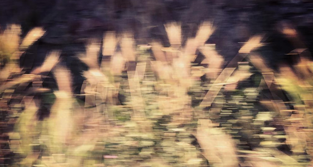 Genius Loki - Yvonne Michel Conrad (gdl_922419411_image)