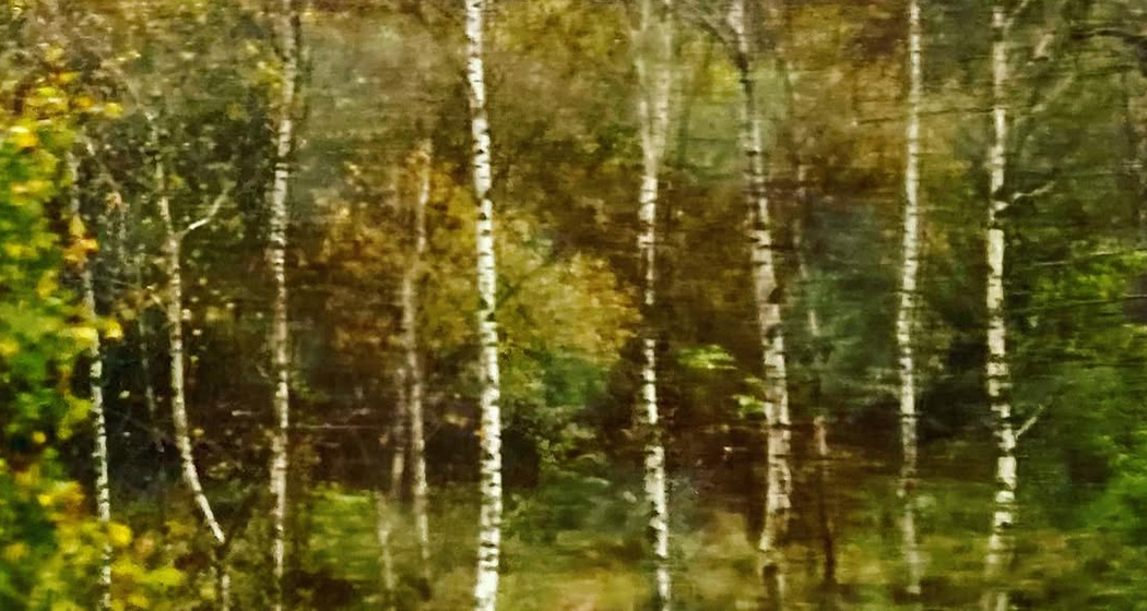 Genius Loki - Yvonne Michel Conrad (gdl_922419412_image)