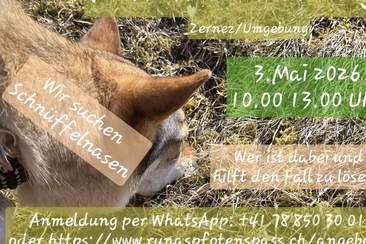 Krimiwanderung "SOKO Wuff" Runa's PfotenSpass (gdl_922429280_image)