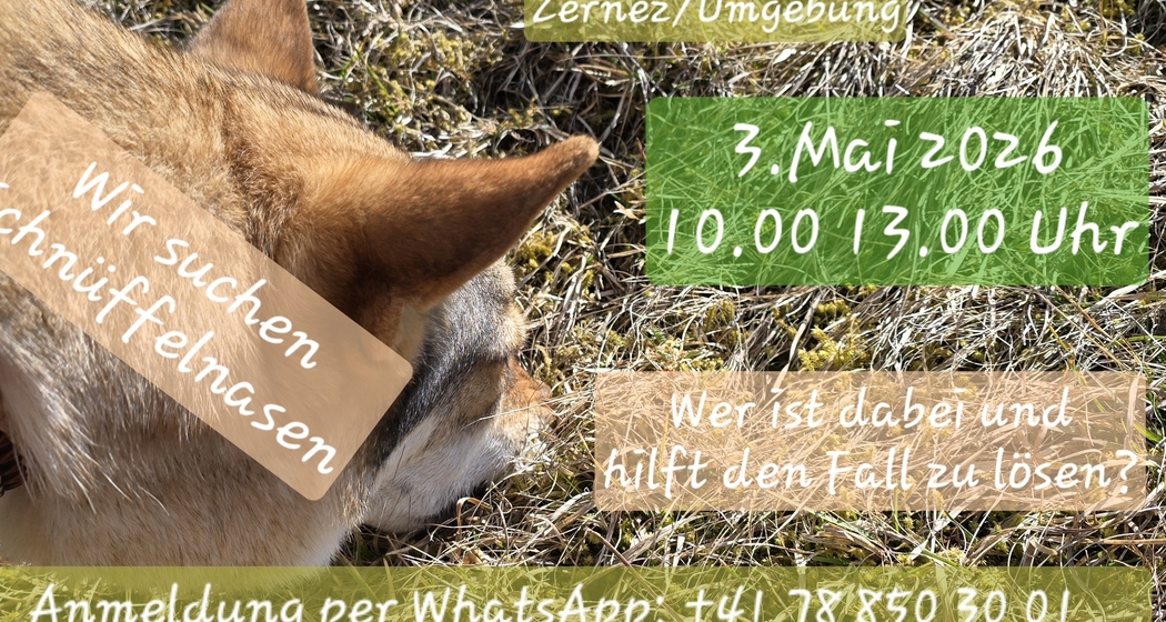 Krimiwanderung "SOKO Wuff" Runa's PfotenSpass (gdl_922429280_image)