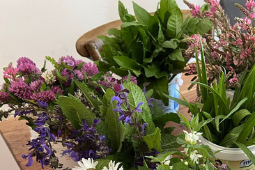 Wildkräuterpesto herstellen und an der Feuerstelle auf Pasta degustieren (gdl_922775412_image)