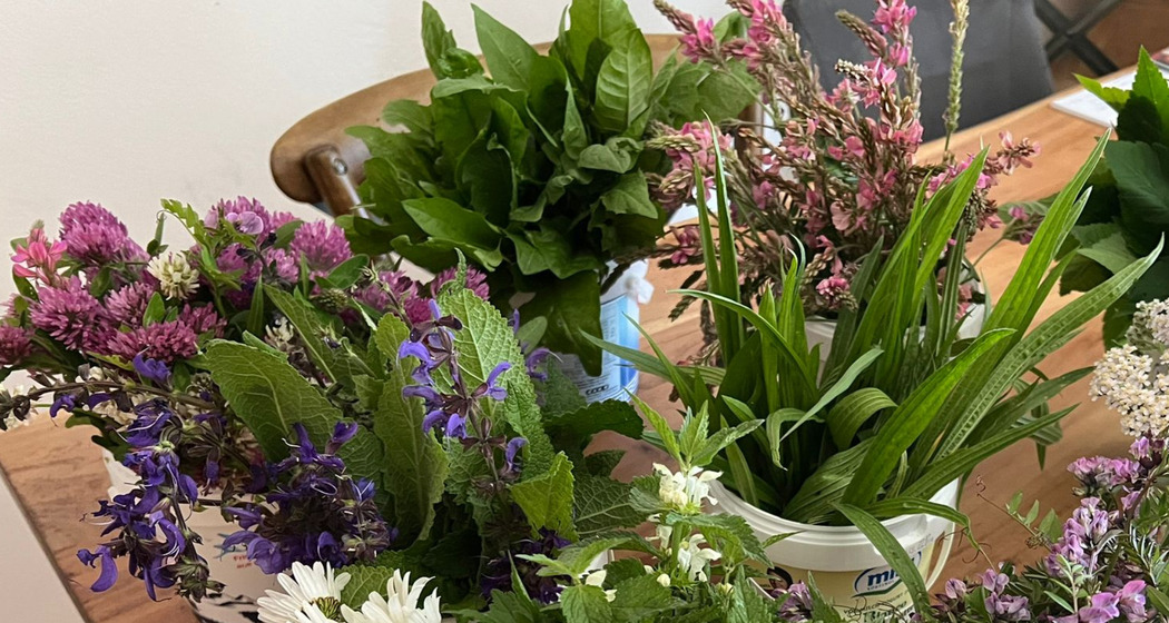 Wildkräuterpesto herstellen und an der Feuerstelle auf Pasta degustieren (gdl_922775412_image)