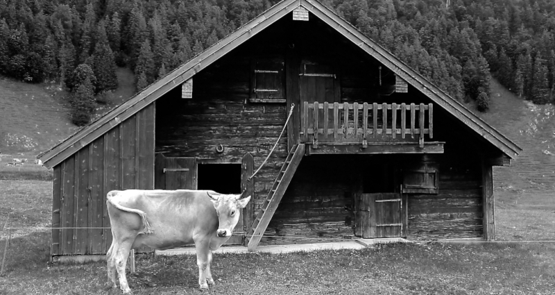Fotoaustellung: Leo Cundrau in Trun (gdl_922775414_image)
