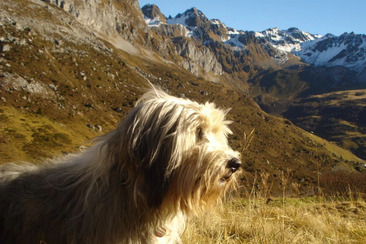 Türöffnung auf dem Schulhof Prada - unsere alternative Schule stellt sich vor (gdl_922789126_image)