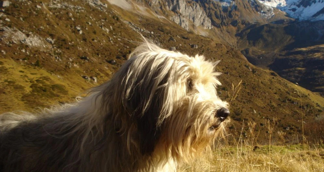 Türöffnung auf dem Schulhof Prada - unsere alternative Schule stellt sich vor (gdl_922789126_image)
