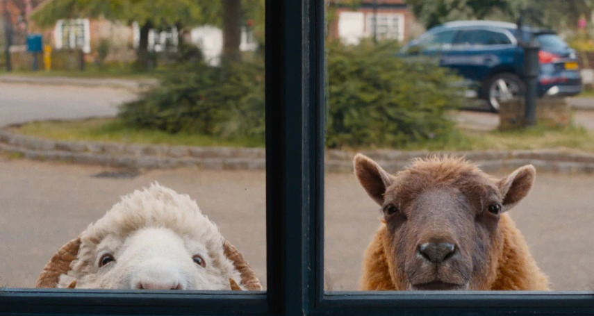 Glennkill (gdl_922961710_image)