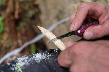 Kinder Naturtag (gdl_923051079_image)