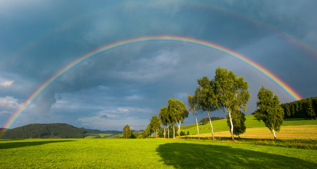 HiEr Regenbogen