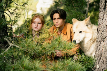 Woodwalkers 2 (gdl_923080206_image)