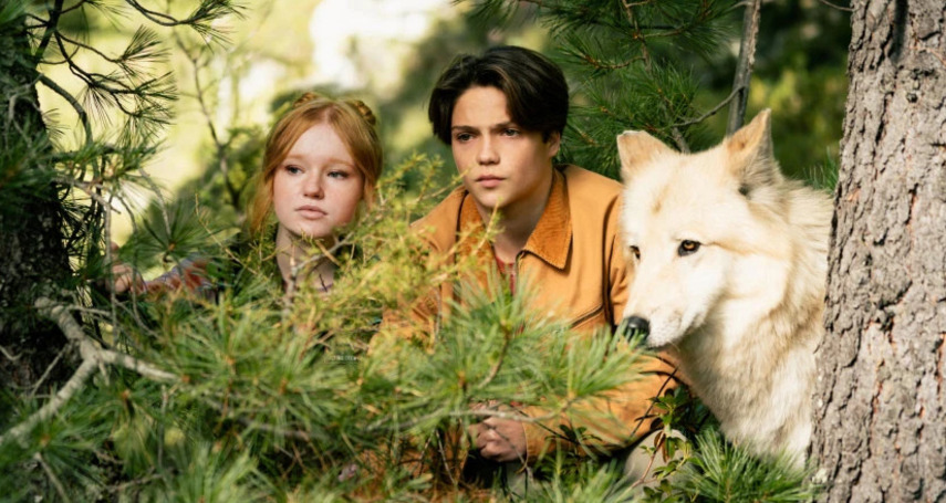 Woodwalkers 2 (gdl_923080206_image)