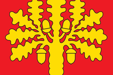 Lanternada e accensione albero (gdl_923104375_image)