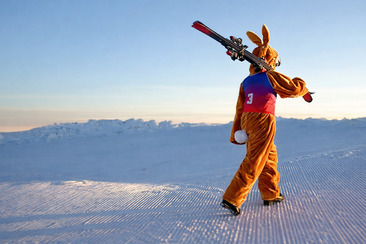 Osternästli-Suche im Skigebiet Arosa Lenzerheide (gdl_923124153_image)