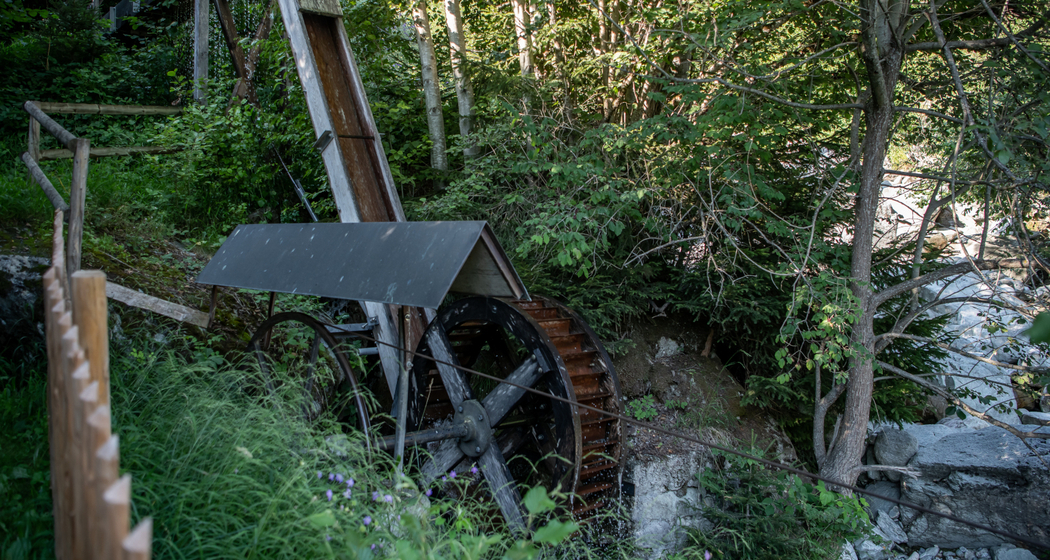 Ostereiersuche für Gross und Klein in Schnaus (gdl_923524627_image)
