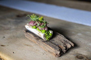 Giodimaint da prümavaira (gdl_923603656_image)