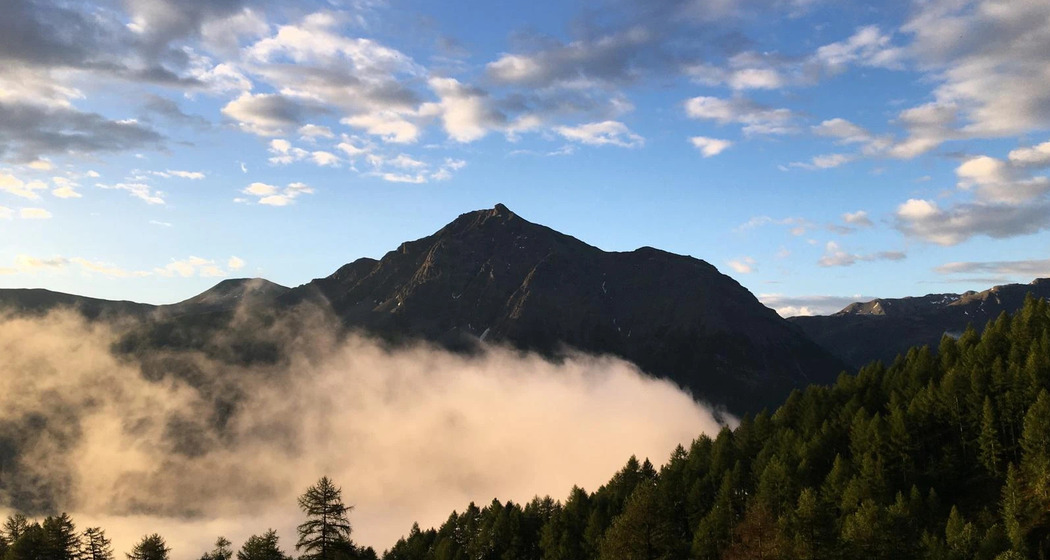 Harz-Salbi-Workshop mit Selina & bäumischer Apéro auf der Alp Es-cha Dadour (gdl_923790422_image)