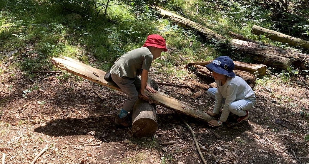 Jugendherberge Trin, Bergwaldwoche (gdl_923869436_image)