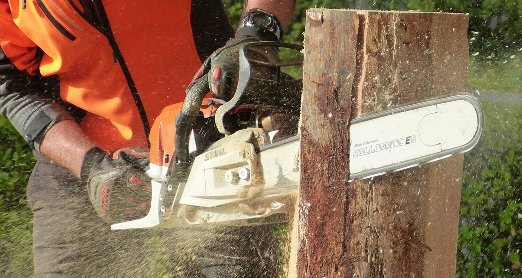 Live-Holzschnitzen und Präsentation Outdoor-Bekleidung von "Brumm" (gdl_923895023_image)