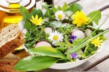 Senioren unterwegs "Wildkräuter - Genuss - Spaziergang" (gdl_923904851_image)