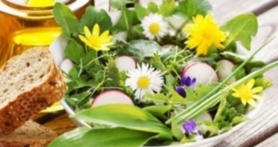 Senioren unterwegs "Wildkräuter - Genuss - Spaziergang" (gdl_923904851_image)