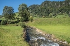 Seniorentreff im Senesca (gdl_923904854_image)