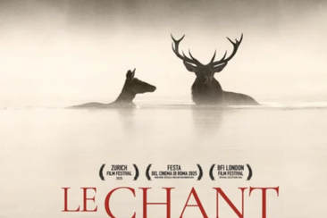 Cinema: «Le chant des Forêts» in Ilanz (gdl_923921701_image)