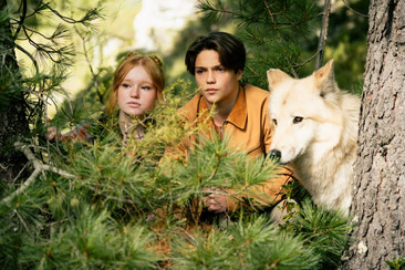 Woodwalkers 2 (gdl_924082955_image)