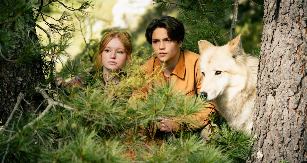 Woodwalkers 2 (gdl_924082955_image)