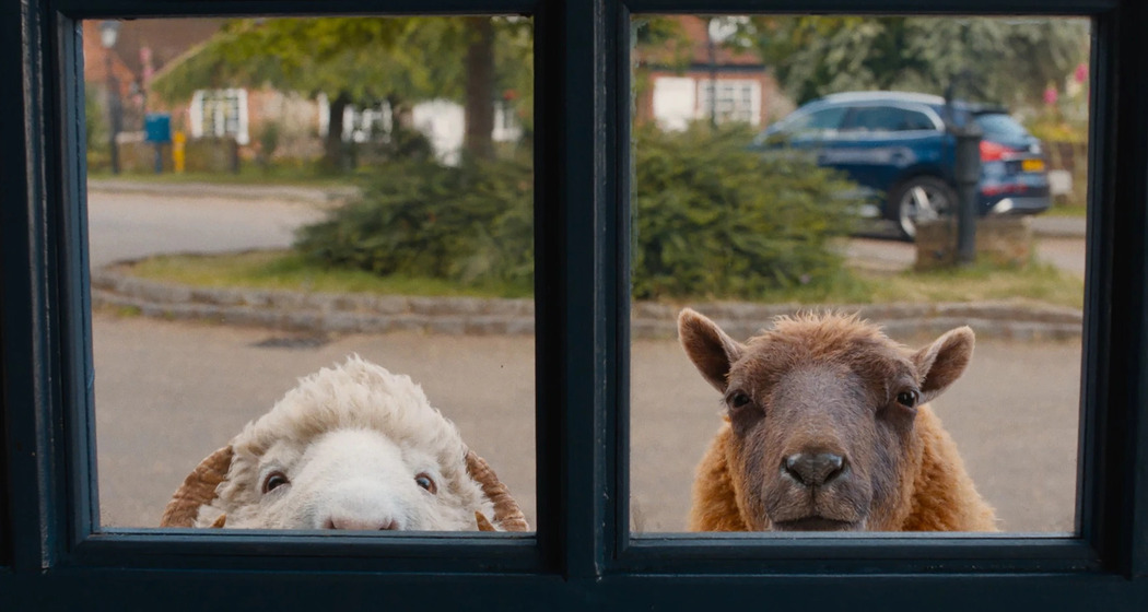 Glennkill (gdl_924082959_image)