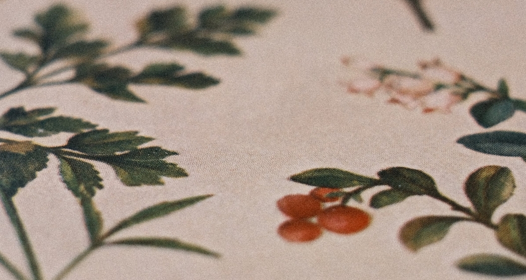 «Historische Körperbilder und Heilversuche mit Pflanzen» (gdl_924201974_image)