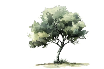 Il canto degli alberi. Passeggiata sonora e poetica nel mondo vegetale (gdl_924205272_image)