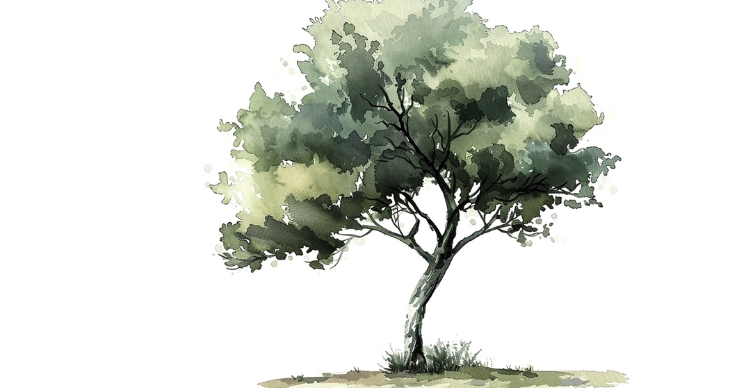 Il canto degli alberi. Passeggiata sonora e poetica nel mondo vegetale (gdl_924205272_image)