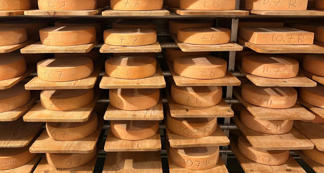 Wildes Alp-Raclette auf der Alp Es-cha Dadour (gdl_924258227_image)