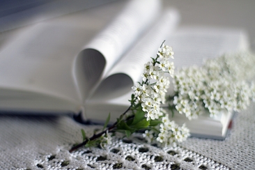 Bücherapéro (gdl_924720064_image)