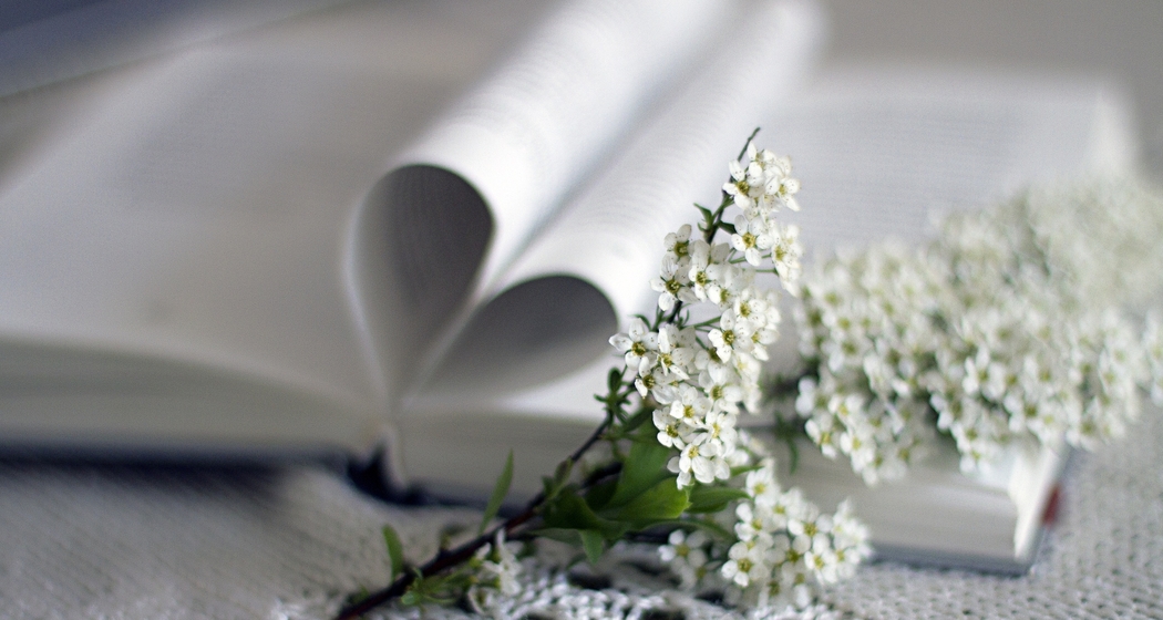 Bücherapéro (gdl_924720064_image)