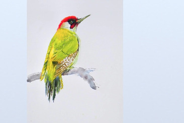 Victor A. Schiro - Bilderausstellung (gdl_924720078_image)