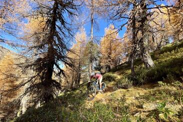 Fahrtechnik und Trailspass (gdl_924894439_image)