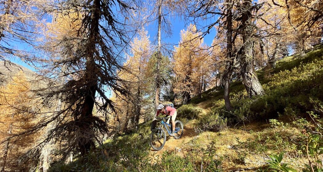 Fahrtechnik und Trailspass (gdl_924894439_image)
