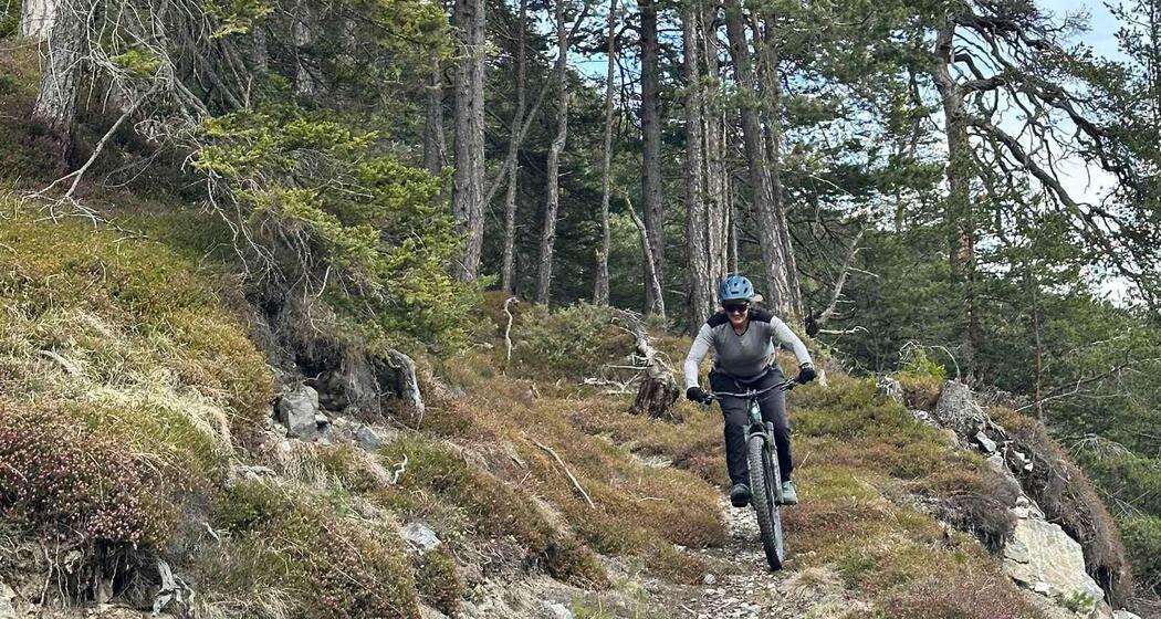 Techniktraining MTB (gdl_924894452_image)