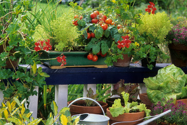 Workshop Urban Gardening in Chur (gdl_925986822_image)