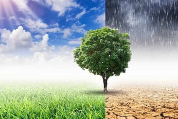 Workshop sul cima (de) (gdl_926002836_image)