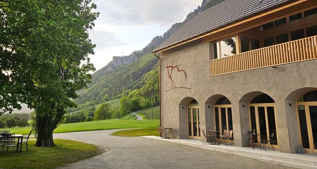 Sommerabendfest auf dem Weingut (gdl_926174469_image)