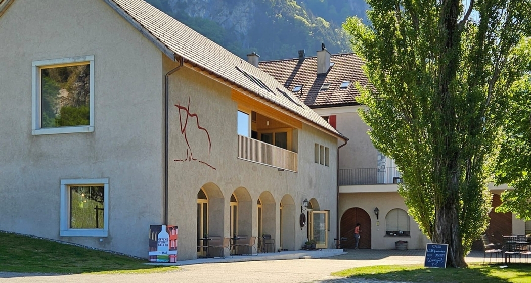 Sommerabendfest auf dem Weingut (gdl_926174470_image)