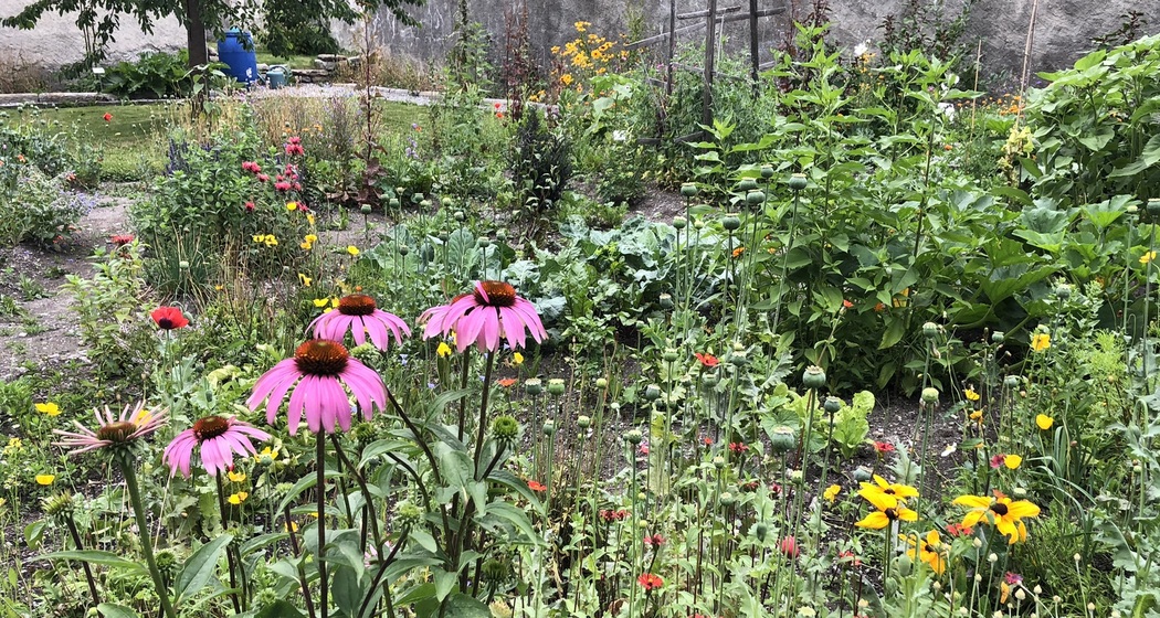Naturgarten und Permakultur (gdl_926255746_image)