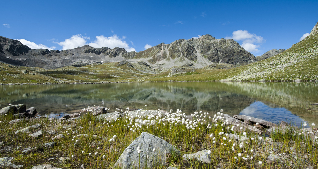 Geführte Wanderung Macun Seen (gdl_926414981_image)