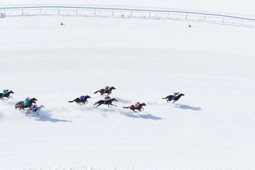 White Turf St. Moritz 2027 – Pferderennen auf Schnee (gdl_926510237_image)