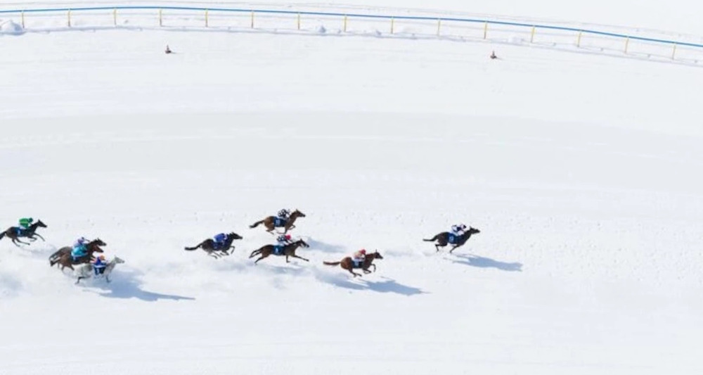 White Turf St. Moritz 2027 – Pferderennen auf Schnee (gdl_926510237_image)