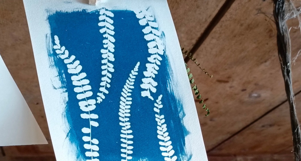 Experimentelle Pflanzendrucke auf Stoff und Papier (gdl_926919341_image)