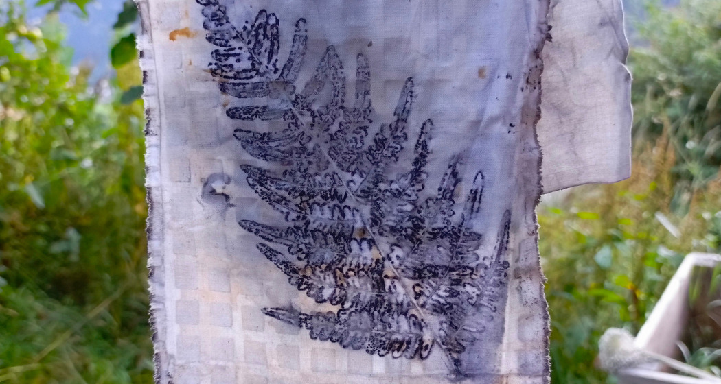 Experimentelle Pflanzendrucke auf Stoff und Papier (gdl_926919342_image)