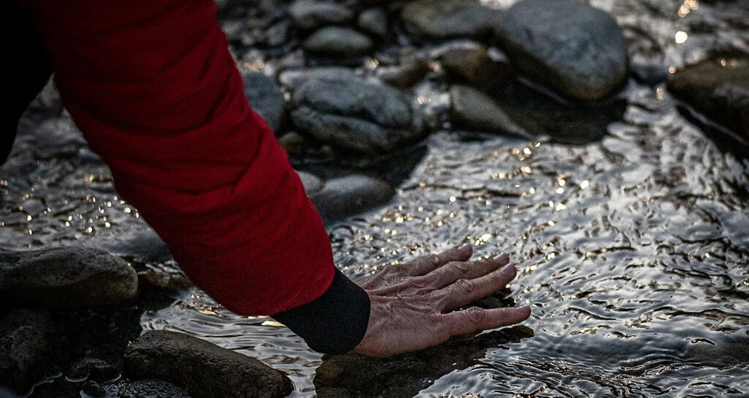 Deep Nature Days im Sommer (gdl_926994805_image)